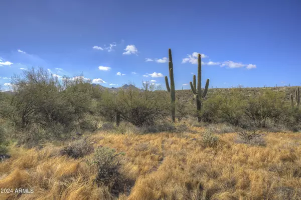 Cave Creek, AZ 85331,42 N Old Stage Road #_