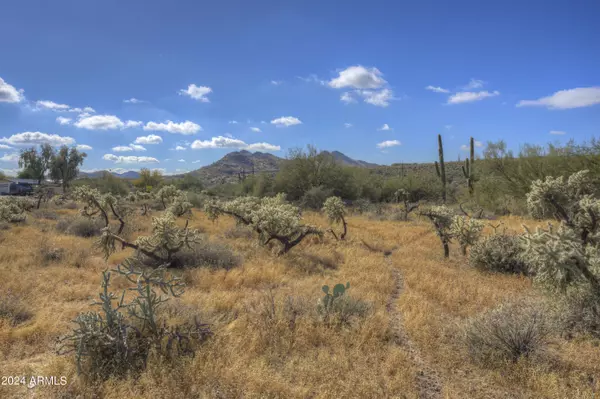 Cave Creek, AZ 85331,42 N Old Stage Road #_