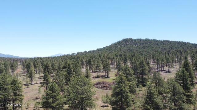 3601 E Mountain Man Trail #-, Williams, AZ 86046