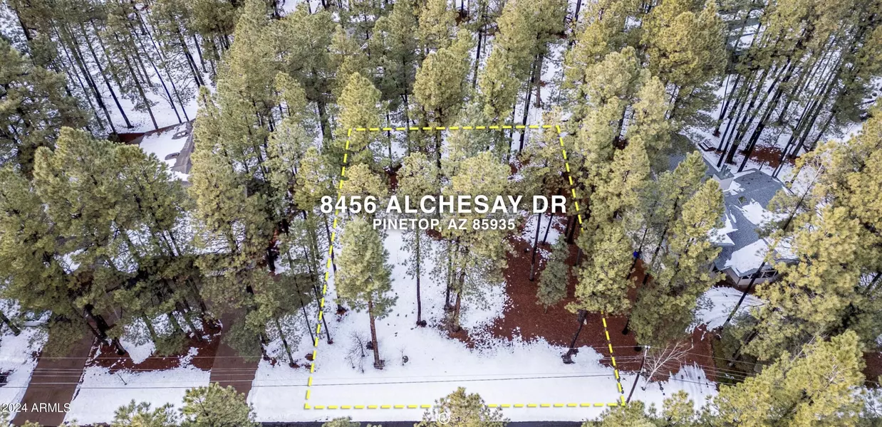 8456 ALCHESAY Drive #557, Pinetop, AZ 85935