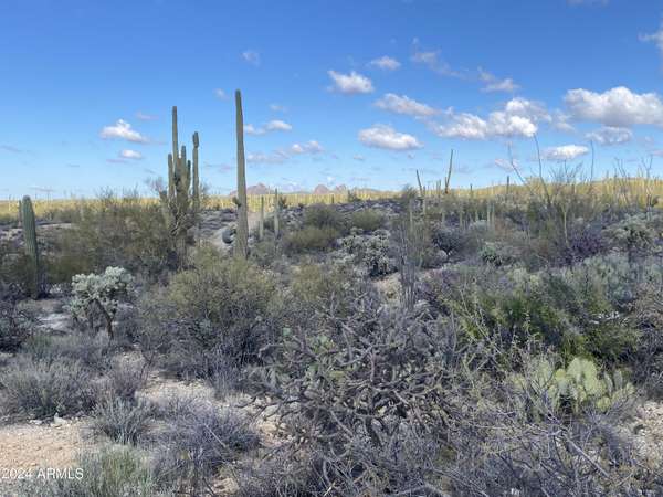 Marana, AZ 85658,37 S Desert Ridges Road #-