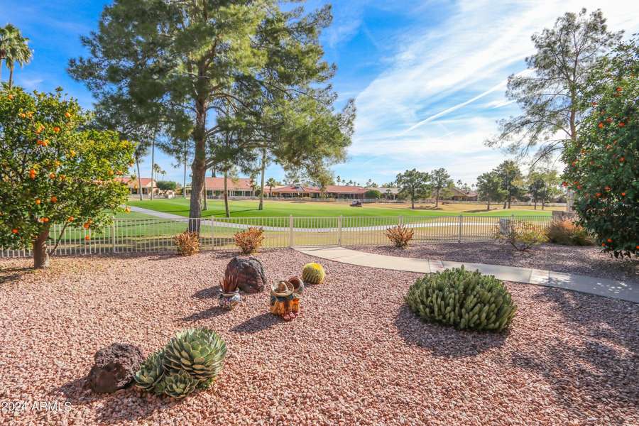 26029 S RIBBONWOOD Drive, Sun Lakes, AZ 85248