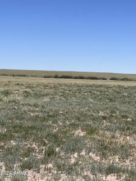 0 N 9361 -- #256, Concho, AZ 85924