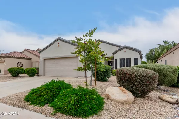 16146 W MONTOYA Drive, Surprise, AZ 85374