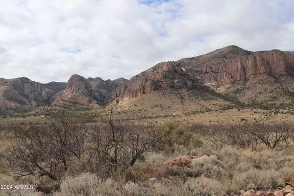 Portal, AZ 85632,776 W LONE PINE Trail W #14