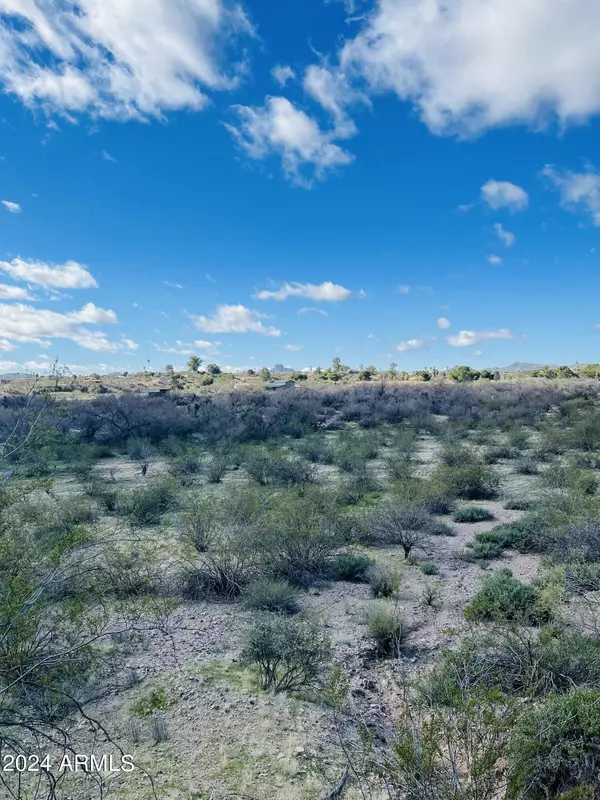 Wickenburg, AZ 85390,0 Easy Street #0