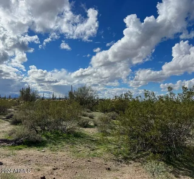 Marana, AZ 85658,0 Hemlock -- #'-'