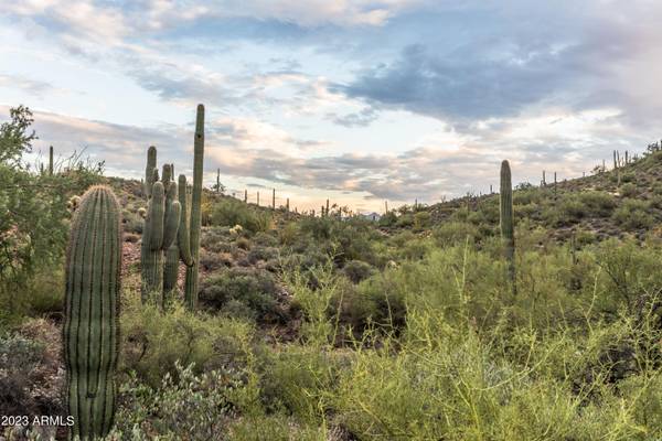 Cave Creek, AZ 85331,N Echo Canyon -- #-