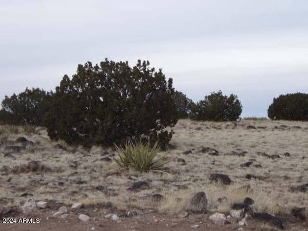 St Johns, AZ 85936,5 County Rd N6118 -- #-