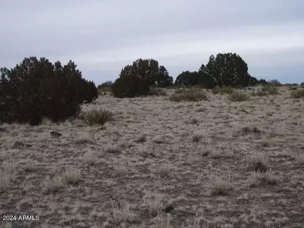 St Johns, AZ 85936,5 County Rd N6118 -- #-