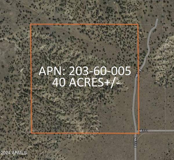 St Johns, AZ 85936,5 County Rd N6118 -- #-