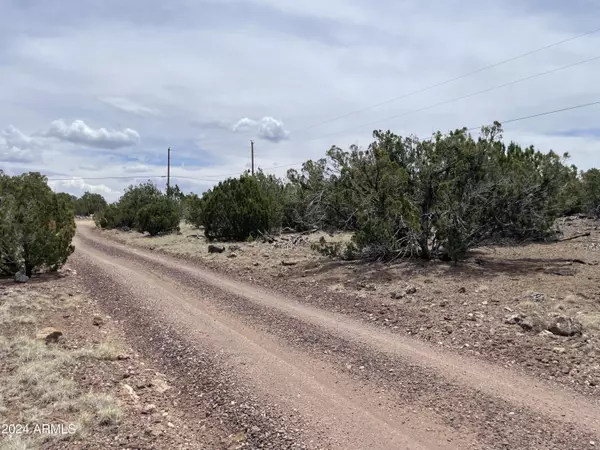 Vernon, AZ 85940,0 N N8166 and Standford Dr - Lot A -- #73