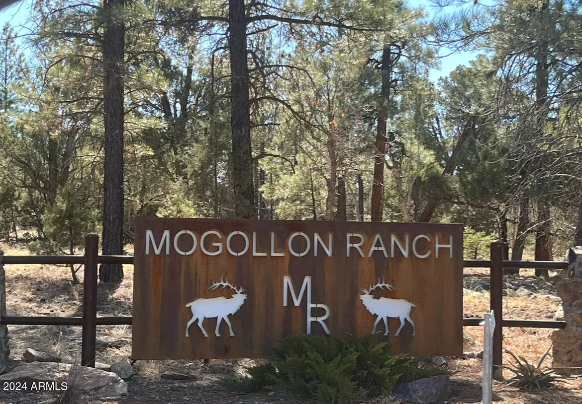 Happy Jack, AZ 86024,8524 MOGOLLON Trail #111