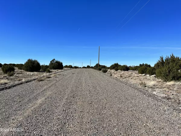 Concho, AZ 85924,206 Windsor Valley -- #206