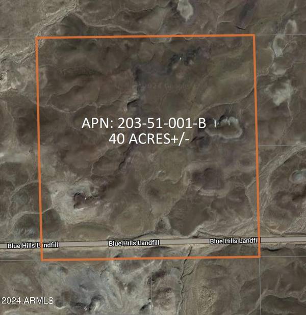 St Johns, AZ 85936,203 Blue Hills Landfill Road #-