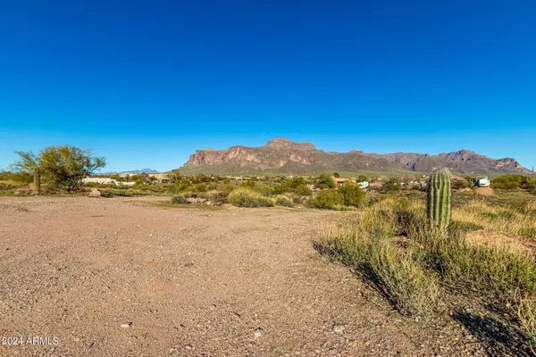 Apache Junction, AZ 85119,0 S Roadrunner Road #-