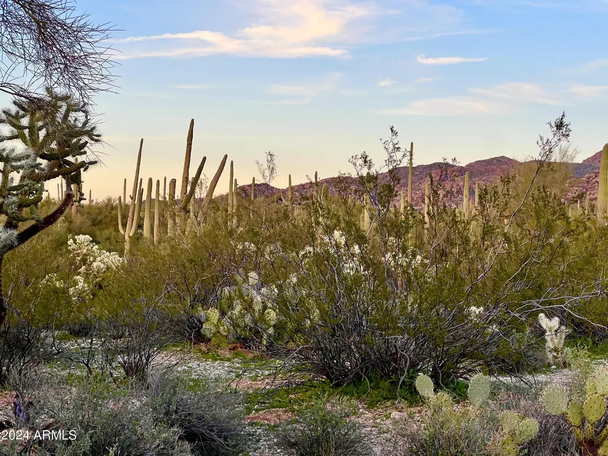 Marana, AZ 85658,41580 E Derrio Canyon Lots C & D 10 ac -- #-