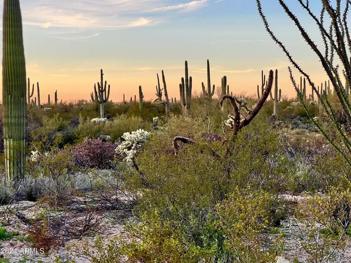 Marana, AZ 85658,41580 E Derrio Canyon Lots A & B 10 Ac -- #-