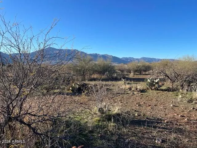 Tonto Basin, AZ 85553,176 N Grimes Road #-