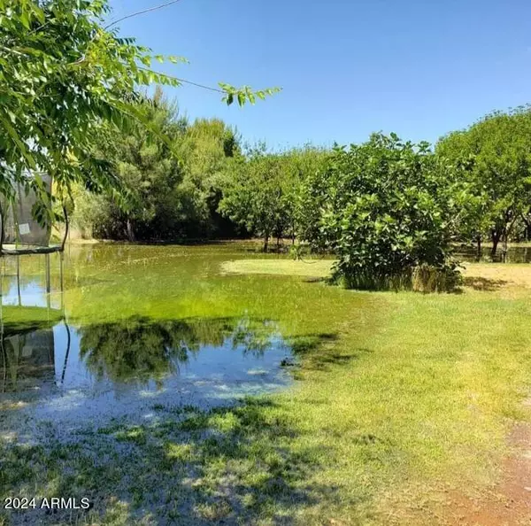 35286 N HIGH Street San Tan Valley, AZ 85140