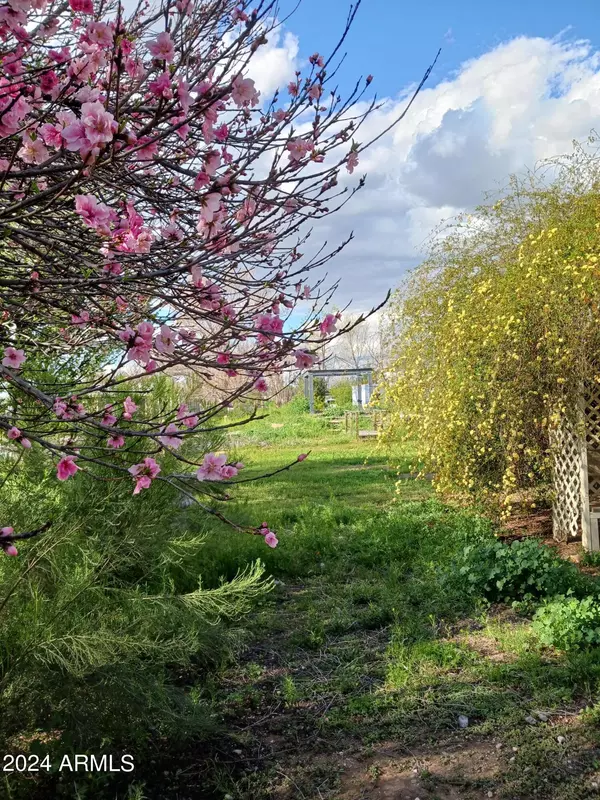 35286 N HIGH Street San Tan Valley, AZ 85140