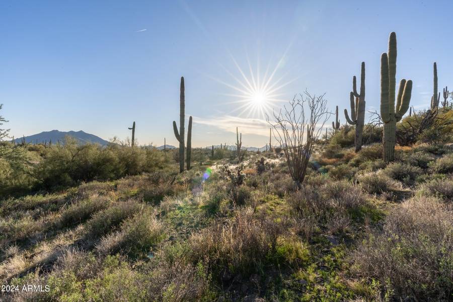 7344 E CONTINENTAL MTN ESTS Drive #1, Cave Creek, AZ 85331