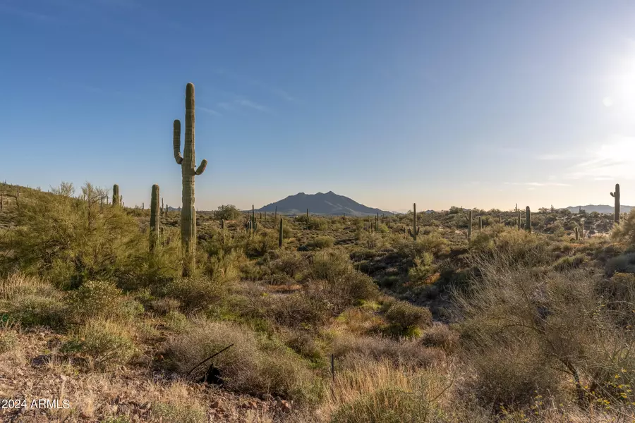 7347 E CONTINENTAL MTN ESTS Drive #9, Cave Creek, AZ 85331