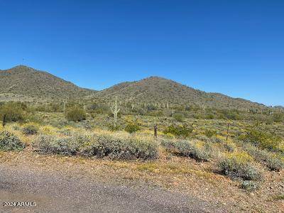 New River, AZ 85087,40024 N 12TH Street #-