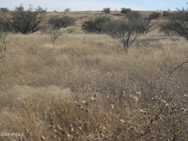 Sonoita, AZ 85637,13550 E BEATTY RANCH Road #-