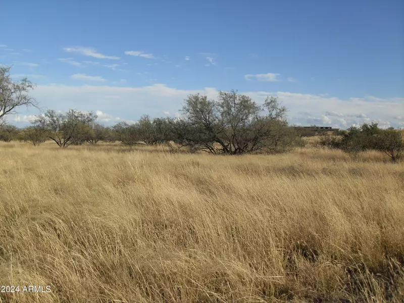 13550 E BEATTY RANCH Road #-, Sonoita, AZ 85637