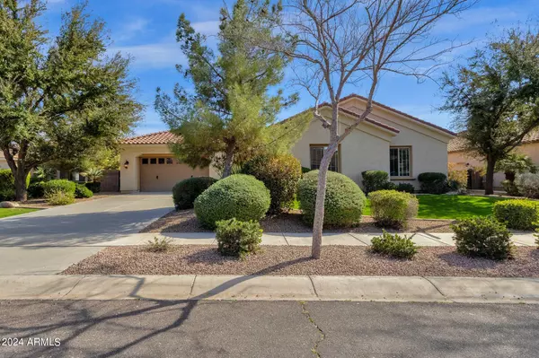 Chandler, AZ 85248,523 W COCONINO Place