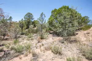 Payson, AZ 85541,3001 E HANGING ROCK -- #203