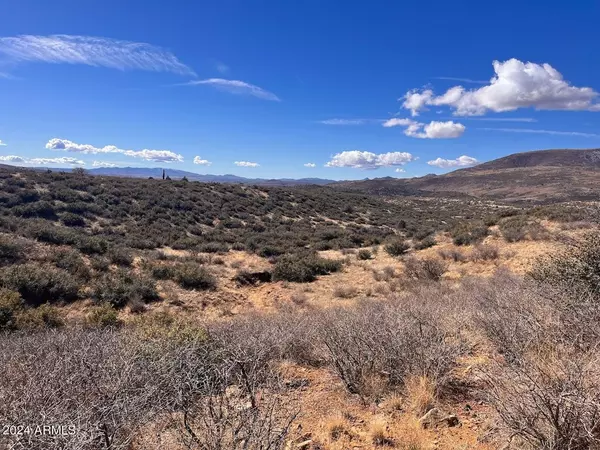 Skull Valley, AZ 86338,1100 S Iron Spring Road #-