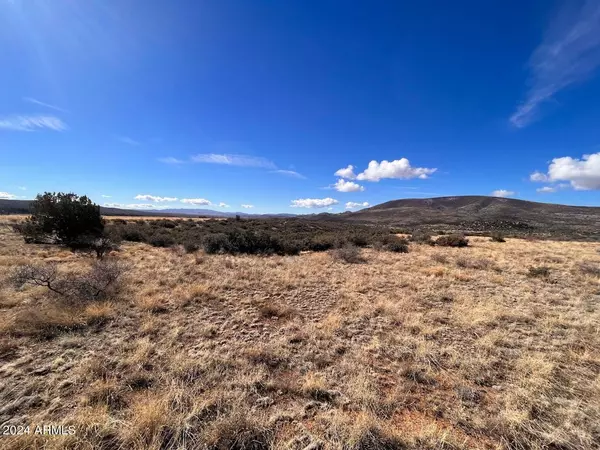 Skull Valley, AZ 86338,1100 S Iron Spring Road #-