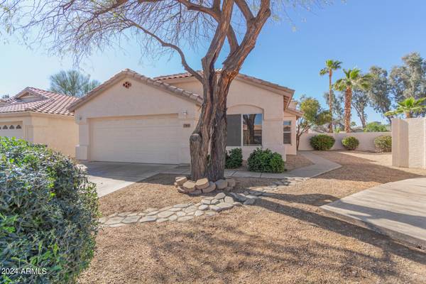 1642 E GAIL Drive,  Chandler,  AZ 85225