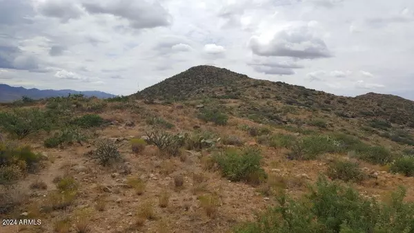 Congress, AZ 85332,0 Bull Whip Road #65
