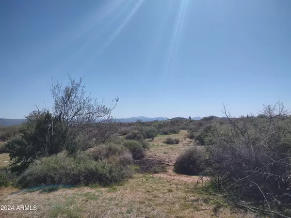 Rio Verde, AZ 85263,293 N 170th Street #-