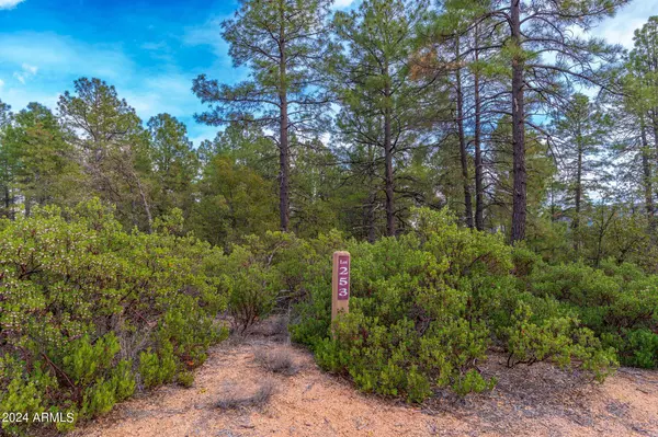 Payson, AZ 85541,3103 E Game Trail -- #253