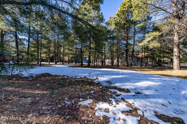 Pinetop, AZ 85935,3351 W SOARING EAGLE Way #47