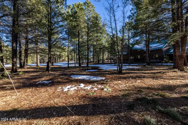 3351 W SOARING EAGLE Way #47, Pinetop, AZ 85935