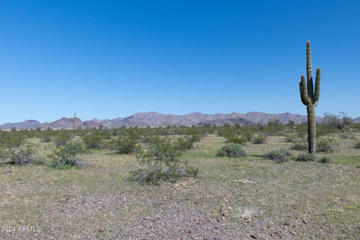 Tonopah, AZ 85354,20 N 407th Avenue #4