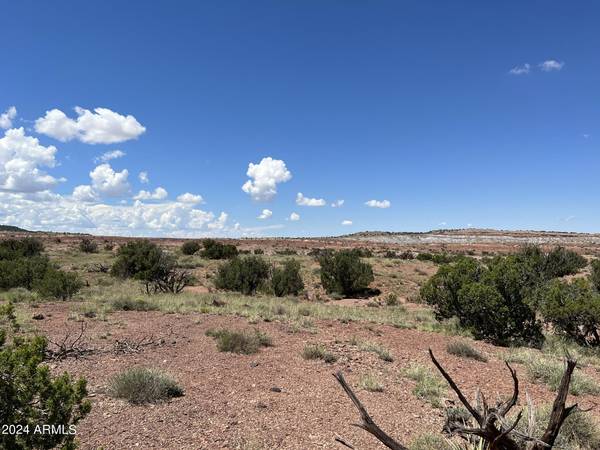 St Johns, AZ 85936,123 County Rd N6412 -- #-