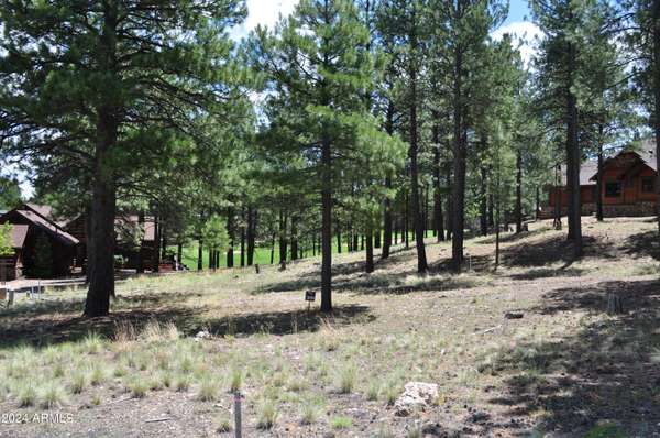 Flagstaff, AZ 86005,3925 S Clubhouse Circle #309