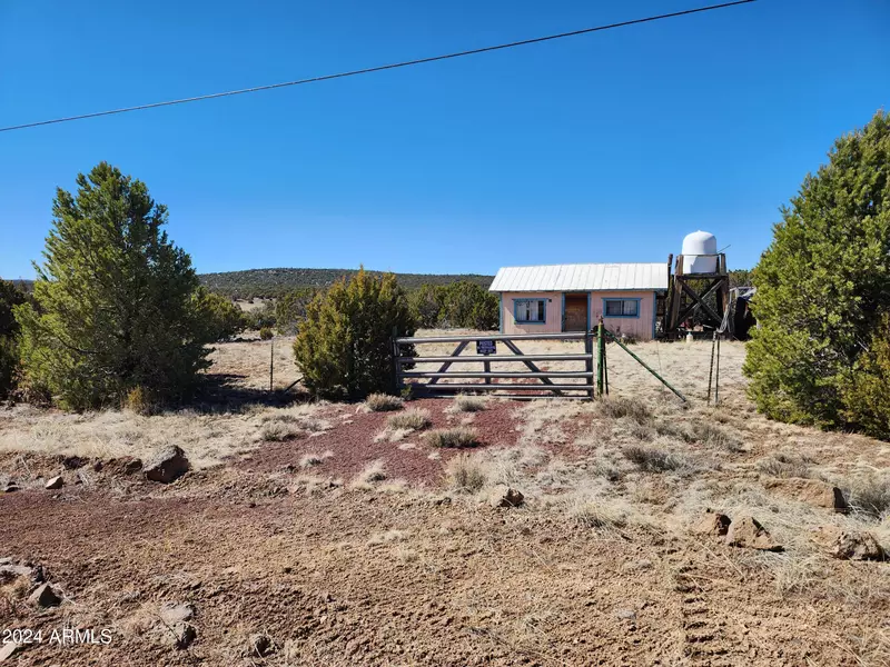 63 COUNTY 8221 Road #276, Concho, AZ 85924