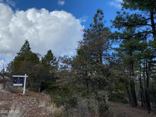 Show Low, AZ 85901,1675 S PLEASANT VIEW Drive #425