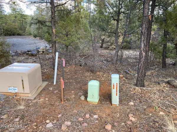 Show Low, AZ 85901,1675 S PLEASANT VIEW Drive #425