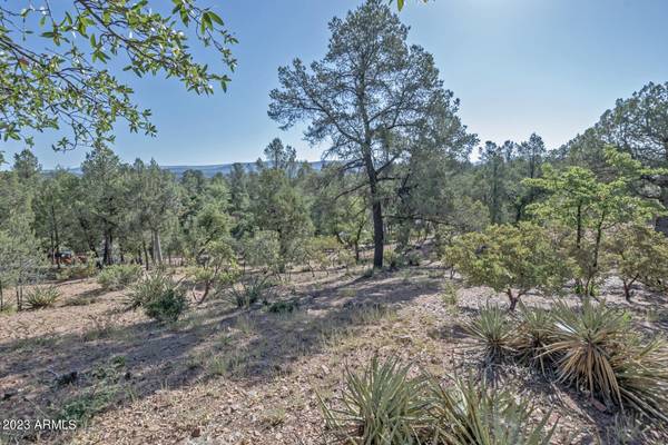 Payson, AZ 85541,3004 E HANGING ROCK -- #209