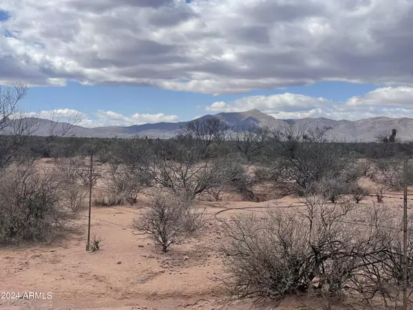 Mcneal, AZ 85617,40 Presgrove Lane #-