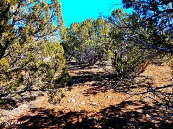 Show Low, AZ 85901,0 Christopher Trail #-