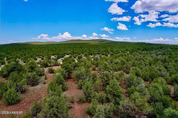 Vernon, AZ 85940,4 Co Rd 3187 Lot 2 5.09 Acres -- #-